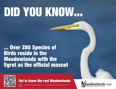 Meadowlands Fun Facts - Home of 280 Species of birds