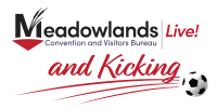 Live and Kicking World Cup Logo main-02