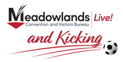 Live and Kicking World Cup Logo main-02